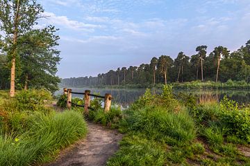 Een uitzicht over het van Esschen ven, met het brugje op de voorgrond. van Els Oomis