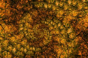 spirale des feuilles sur Klaartje Majoor