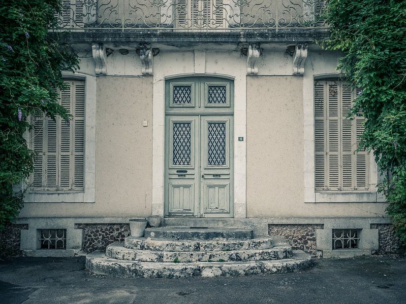 Old Door of a Country House with Climbing Plant by Art By Dominic