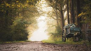 De weg van Ruben Van Dijk