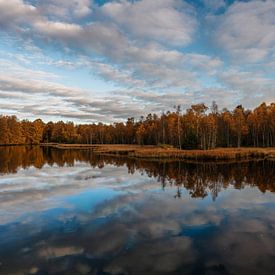 Marais sur Andre Michaelis