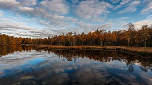 Moor