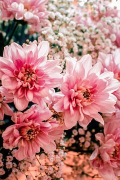 Flowers van Lotte Grit