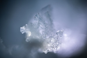 Fragiele ijskristallen in winterlicht