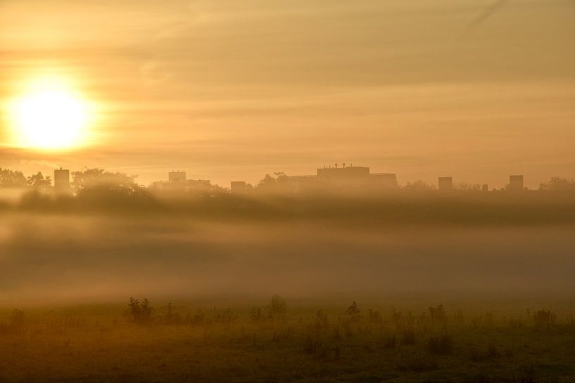 Natuurschoon in de mist van Jan Radstake