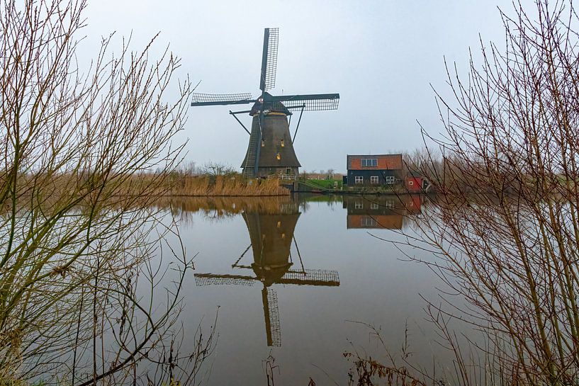 Kinderdijk windmill in the fog by Merijn Loch