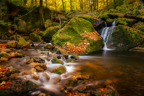 Wandern im schönen Ilsetal