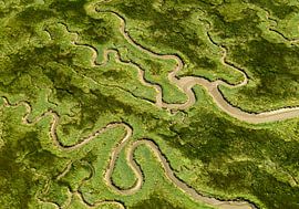 Drowned Land of Saeftinghe