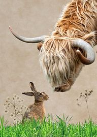 Scottish highlander and hare