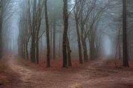 Which path do you choose.......? by Moetwil en van Dijk - Fotografie thumbnail