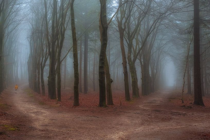 Which path do you choose.......? by Moetwil en van Dijk - Fotografie