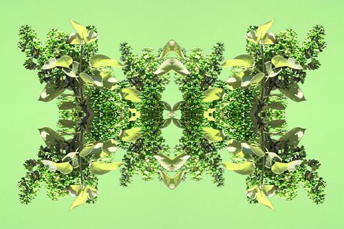 Seringenfantasie lente