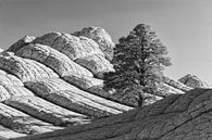 White Pocket, Arizona van Henk Meijer Photography thumbnail