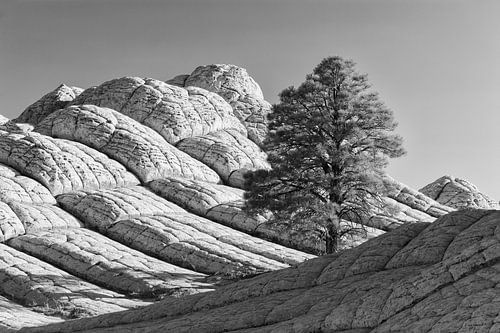 White Pocket, Arizona