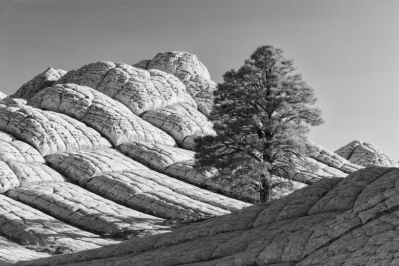 White Pocket, Arizona van Henk Meijer Photography