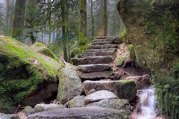 Stone stairs to the unknown by André Post