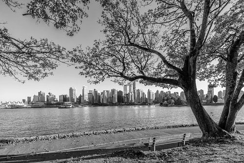 Autumn Idyll and Vancouver Skyline - Monochrome
