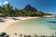 Dream beach Mauritius by Peter Schickert thumbnail