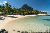 Droomstrand Mauritius