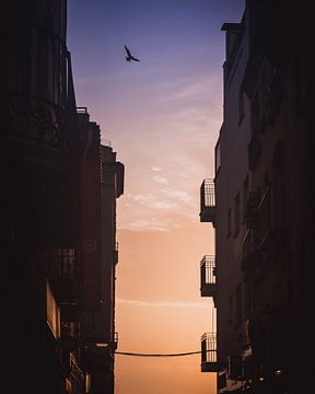 City sunset dark & moody van Sandra Hazes
