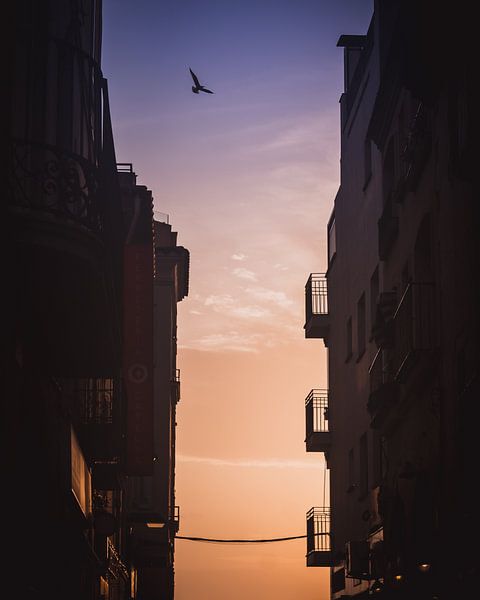 Sonnenuntergang in Girona von Sandra Hazes