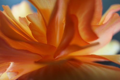 let the sun shine (2)