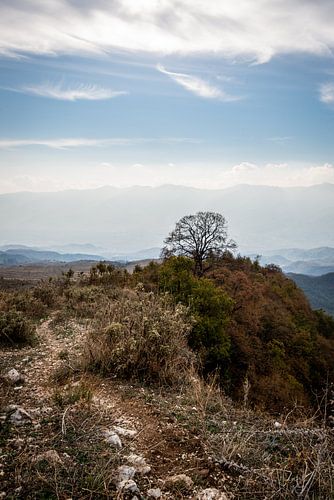 Narrow path of adventure