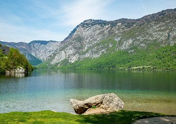 nature in slovenie met het  water van het meer van bohinj