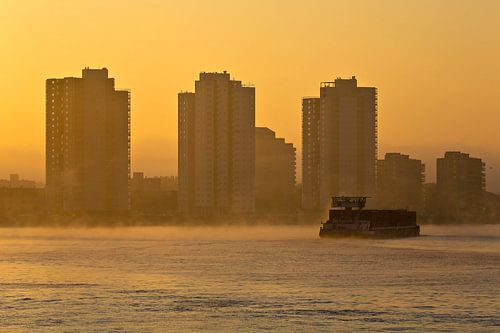 Mistige zonsopkomst bij De Esch in Rotterdam