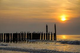 Domburg, Walcheren Zeeland von Dirk van Egmond