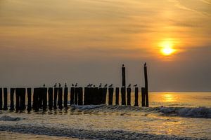 Domburg, Walcheren Zeeland van Dirk van Egmond