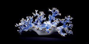Le corail bleu de Delft