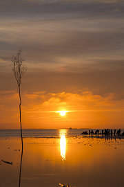 Sonnenuntergang auf den dänischen Watteninseln