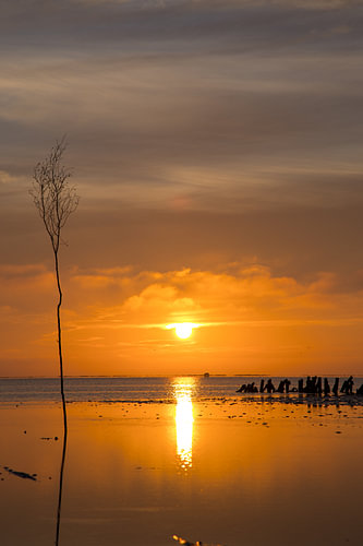 Sonnenuntergang auf den dänischen Watteninseln