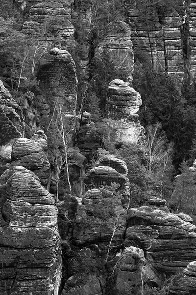 Elbe Sandstone Mountains by Thomas Jäger