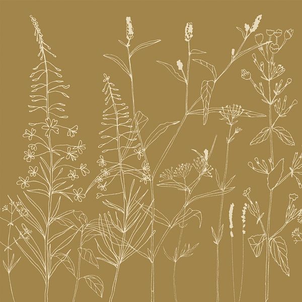 Meadow flowers and plants in ocher yellow. by Dina Dankers