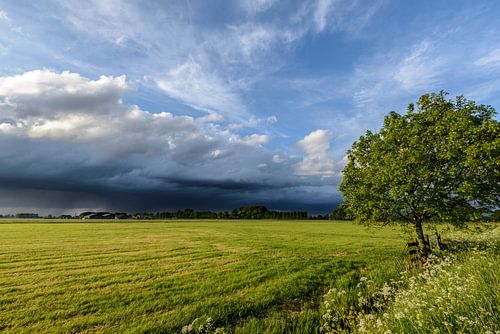 Lente storm boven de weilanden