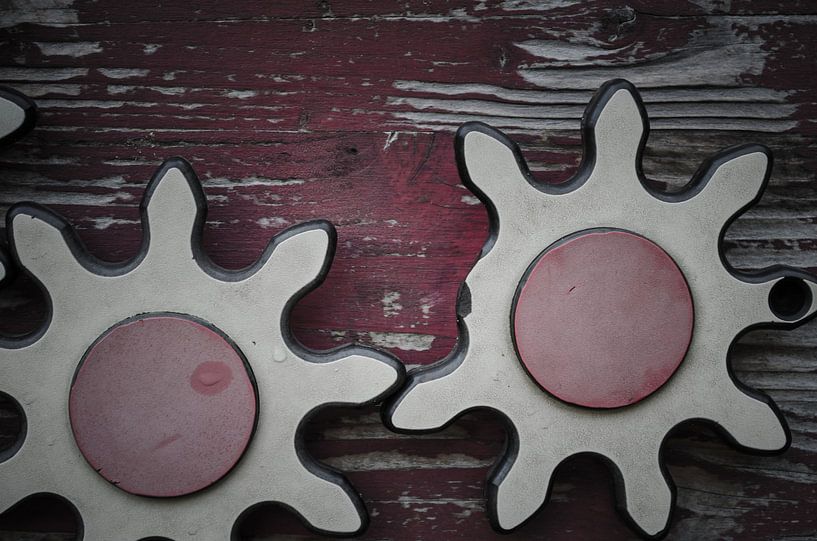 Two wooden gears with a broken tooth by Dennis  Georgiev