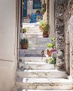 Typische griechische Straße von Sharon de Groot Miniaturansicht