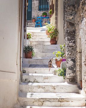 Typical Greek street by Sharon de Groot