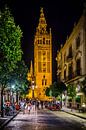 Sevilla bij avond (1) van Rob van der Pijll thumbnail