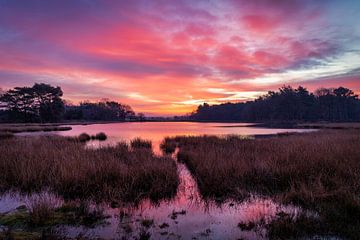 Reflection before sunrise