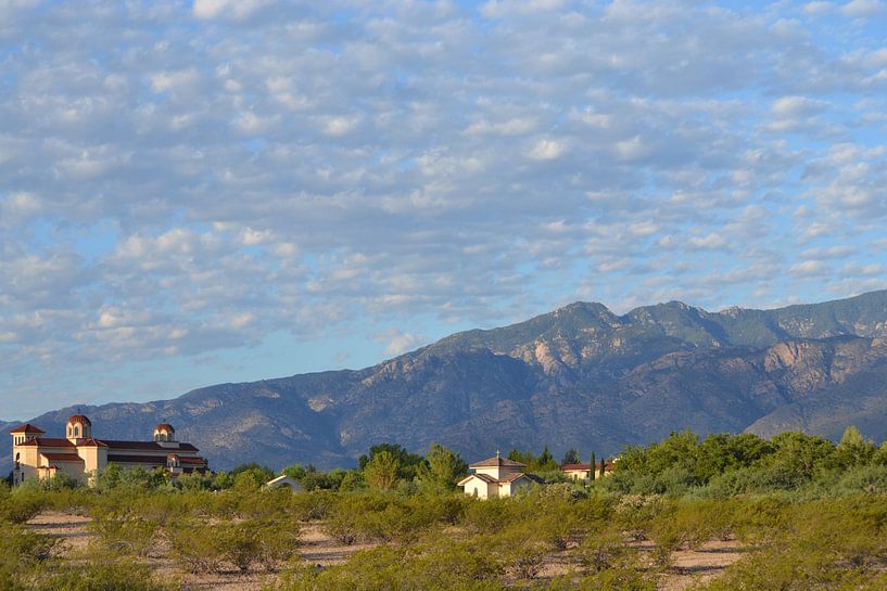 Arizona, in the desert by Bernard van Zwol