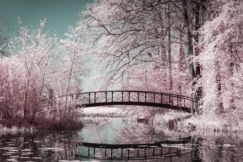 Brug weerspiegelt in water in een betoverend roze bos van Hidden Light Gallery