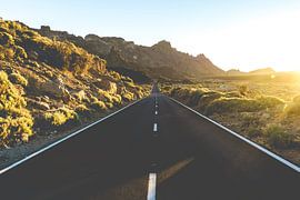 Road Trip