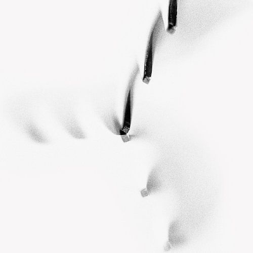 Vork "Gewoon Anders" 1