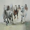 Paarden, groep paarden in galop van Color Square thumbnail