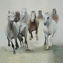 Paarden, groep paarden in galop par Color Square Aperçu