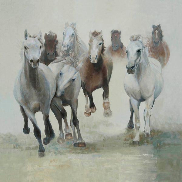 Paarden, groep paarden in galop van Color Square