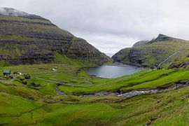 La vallée cachée sur Julia Schellig